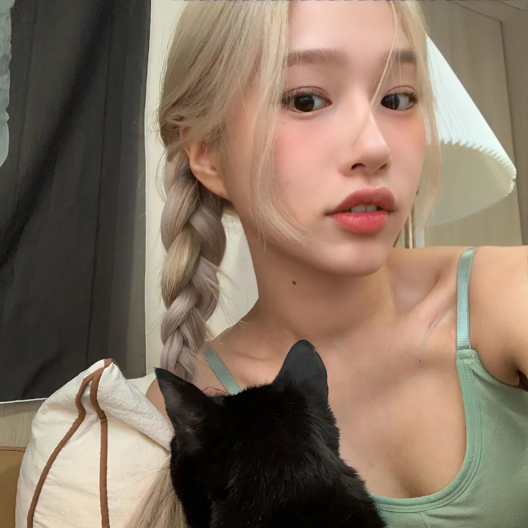 飞贼黑猫